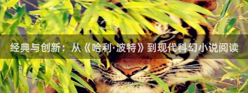 羞羞漫画在线免费观：经典与创新：从《哈利·波特》到现代科幻小说阅读