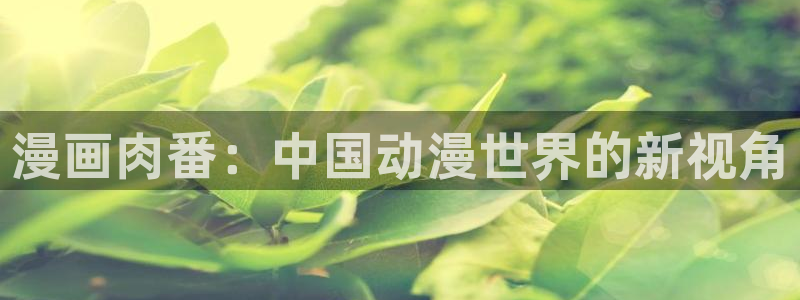 羞羞漫画com：漫画肉番：中国动漫世界的新视角